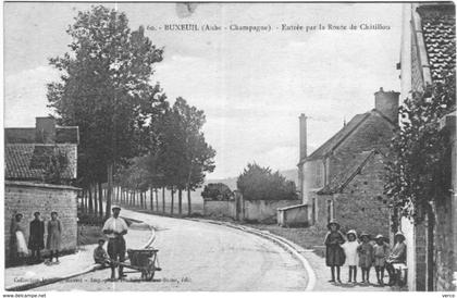 Carte Postale Ancienne de BUXEUIL-Entrée par la route de Châtillon