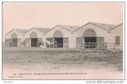 DANS LA CRAU 107 (FOS SUR MER) REFUGES POUR LES TAUREAUX DE LA MANADE DE L'AUDIENCE