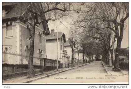 MAURS AVENUE DE LA GARE ET LES VILLAS