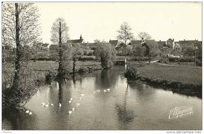 COURTALAIN N° 5536 ST PELLERIN LES BORDS DE L'YERRE