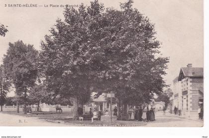 SAINTE HELENE(ARBRE)