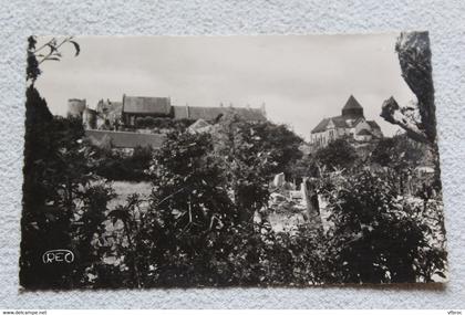 Cpsm 1953, Chatillon sur Indre, vue panoramique, château, église, Indre 36