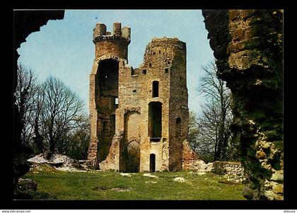 38 - Saint Simeon de Bressieux - Les ruines de Bressieux - Vieilles pierres - Carte Neuve - CPM - Voir Scans Recto-Verso