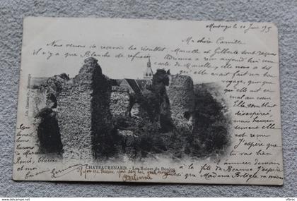 E389, Cpa 1905, Chateaurenard, ruines du donjon, Loiret 45