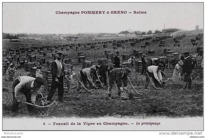 D51 - CHAMPAGNE POMMERY & GRENO à REIMS - TRAVAIL DE LA VIGNE EN CHAMPAGNE - LE PROVIGNAGE