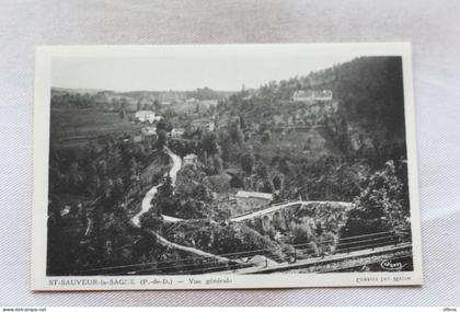 N261, Saint Sauveur la Sagne, vue générale, Puy de Dôme 63