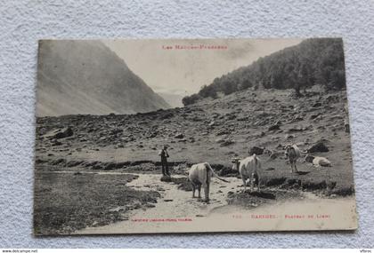 Barèges, plateau de Lienz, Hautes Pyrénées 65