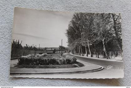 Cpsm, Thuir, la promenade, route de Perpignan, Pyrénées orientales 66