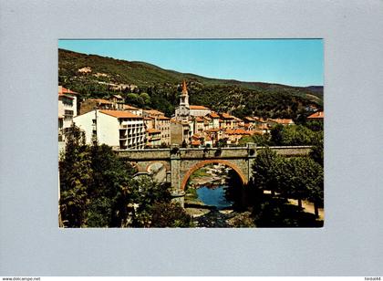 Amélie-les-Bains-Palalda (66) : vue générale