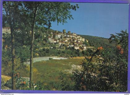 Carte postale 66. Amélie-les-bains Palalda très beau plan