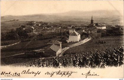 CPA Le Bois-d'Oingt - Vue Generale (1036176)