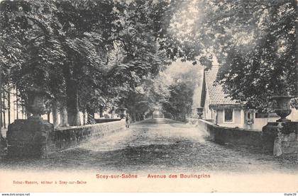 Scey sur Saône