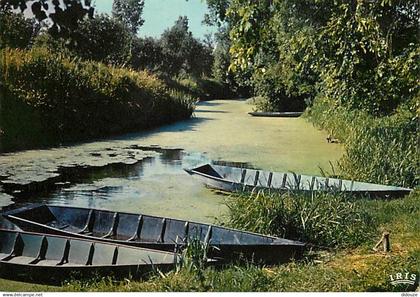 79 - Le Marais Poitevin - Venise Verte - Petite conche dans la Venise Verte - Carte Neuve - CPM - Voir Scans Recto-Verso