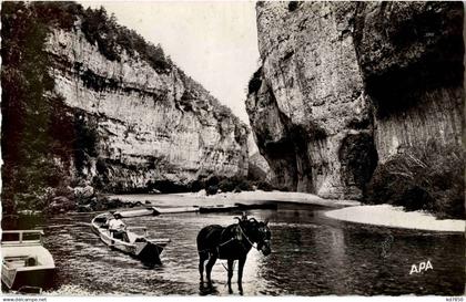 Gorges du Tarn