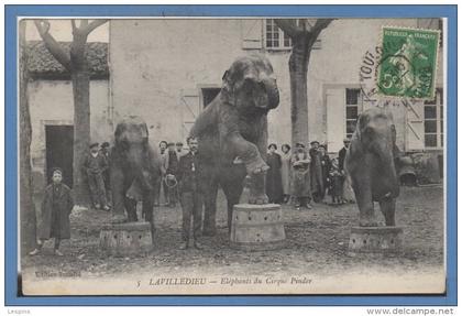 82 - LAVILLEDIEU --  Eléphant du cirque Pinder