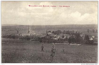 Carte Postale Ancienne de VALLEROY aux SAULES