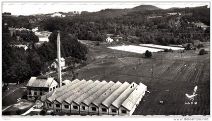 Carte Postale Ancienne de GRANGES sur VOLOGNE