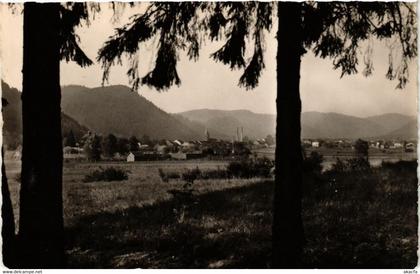 CPA La Vallée de Celles - CELLES-sur-PLAINE (456285)