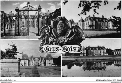 ABNP6-94-0471 - chateau de GROSBOIS - divers aspects du chateau