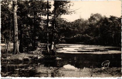 CPA Baillet en France L'Etang du Chateau FRANCE (1332697)