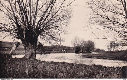 SAINT CLAIR SUR EPTE(ARBRE)