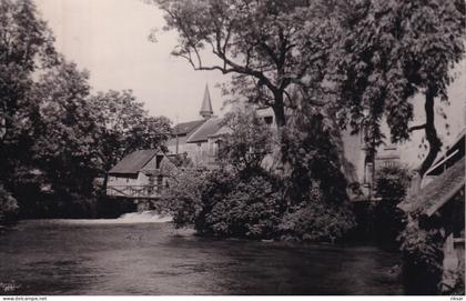 SAINT CLAIR SUR EPTE(MOULIN) ARBRE