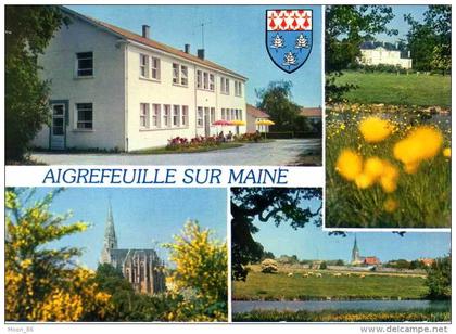 44- AIGREFEUILLE SUR MAINE -