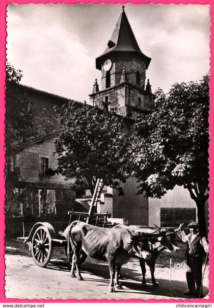 Cp Dentelée - Ainhoa - Un attelage basque devant l'Eglise - Animée - Edit. d'Art YVON