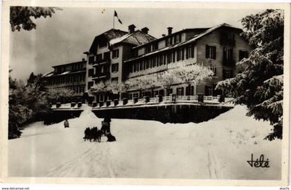 CPA AIX-les-BAINS - Hotel P.L.M. Chiens du Groenland (252159)