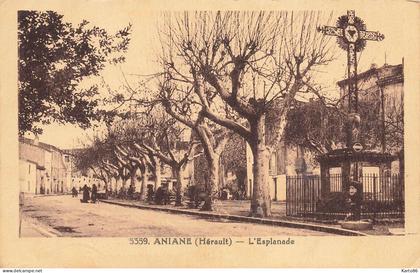 aniane * rue et l'esplanade