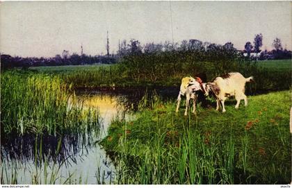 CPA ANNEMASSE Carte photo (337186)