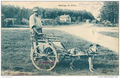 Argent sur sauldre: Attelage de chien voiture a chiens