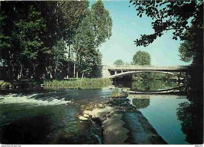 15 - Arpajon sur Cère - Les Bords de la Cère - CPM - Voir Scans Recto-Verso