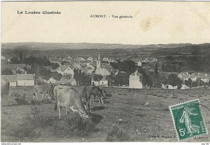 LOZERE : Aumont-Aubrac, Vue Générale