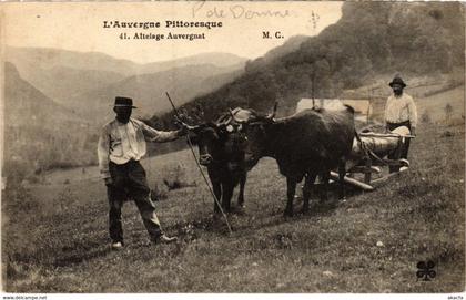 CPA Auvergne - Attelage (72882)