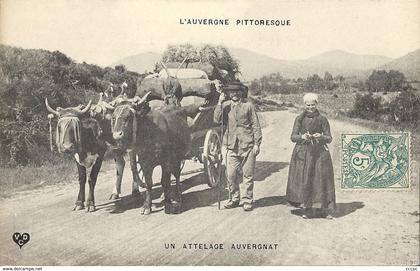 CPA Auvergne Pittoresque Attelage Auvergnat