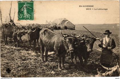 CPA En Auvergne - Le Labourage (72864)