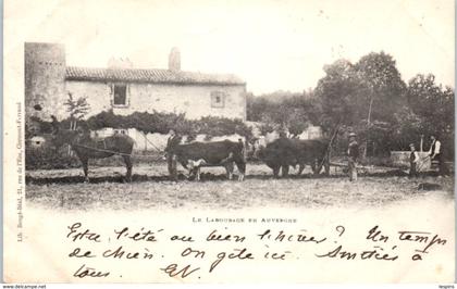 FOLKLORE  -- AUVERGNE - Types d'Auvergne - Le Labourage en auvergne