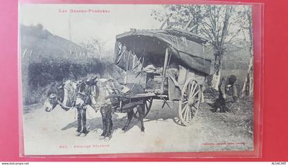 midi pyrénées , attelage béarnais , anes attelées