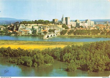 84 AVIGNON LE PALAIS DES PAPES ET LE PONT D AVIGNON