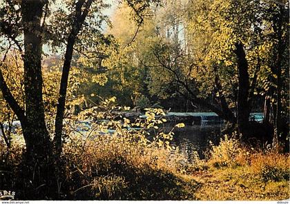 77 - Bagneaux sur Loing - Les barrages sur le Loing au moulin de Glandelle - CPM - Voir Scans Recto-Verso