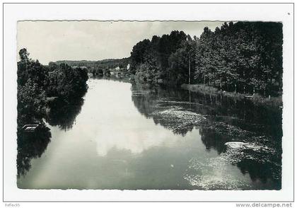 BAGNEAUX SUR LOING - Vue sur Loing