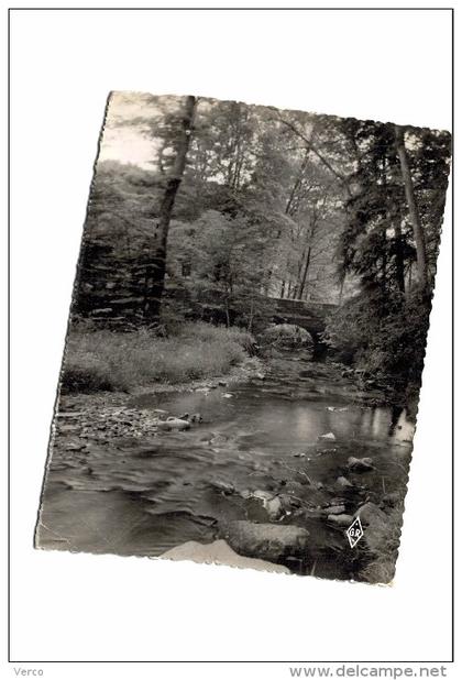 Carte Postale Ancienne de Bains les Bains