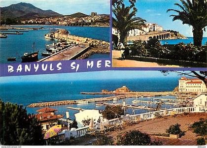 66 - Banyuls sur Mer - Multivues - CPM - Voir Scans Recto-Verso