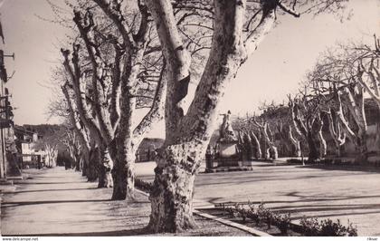 BARJOLS(ARBRE)