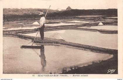 BEAUVOIR  SUR MER        MARAIS SALANTS