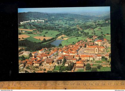 BELMONT DE LA LOIRE 42 : vue générale aérienne