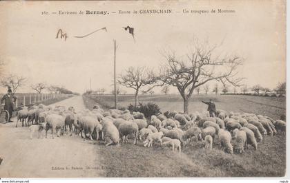 Bernay Route de Grandchain Troupeau de Moutons