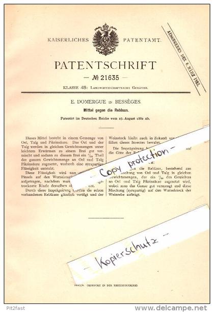 Original Patent - E. Domergue à Besseges , 1882 , Moyens au phylloxéra , agriculture !!!