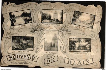 CPA Souvenir de BLAIN (222630)